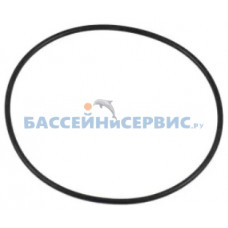 Прокладка-кольцо д.193х6 крышки задней насоса SGE Mayer Schwimmbad LX F02010183